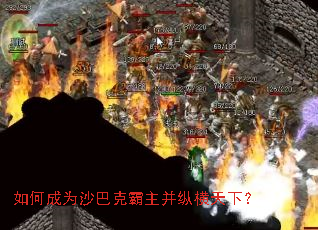 ��γ�Ϊɳ�Ϳ˰������ݺ����£�