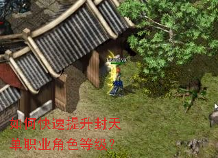 ��ο����������쵥ְҵ��ɫ�ȼ���