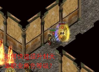 ��ο����������쵥ְҵ��ɫ�ȼ���