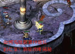 ��θ�Ч��ȡ19���и�ѫ�£��������Խ���