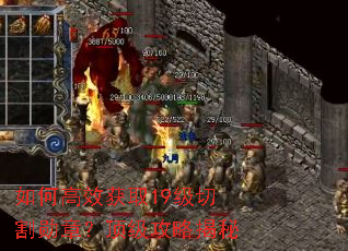 ��θ�Ч��ȡ19���и�ѫ�£��������Խ���