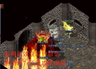 ��θ�Ч��ȡ19���и�ѫ�£��������Խ���