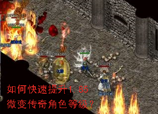 ��ο�������1.85΢�䴫���ɫ�ȼ���