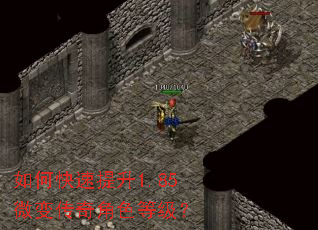 ��ο�������1.85΢�䴫���ɫ�ȼ���