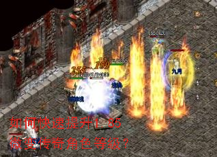 ��ο�������1.85΢�䴫���ɫ�ȼ���