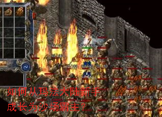 ��δ��귨��½���ֳɳ�Ϊɳ��������