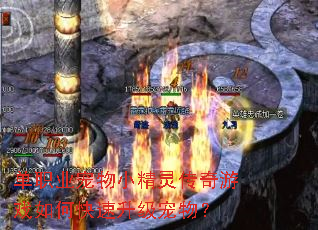 ��ְҵ����С���鴫����Ϸ��ο����������