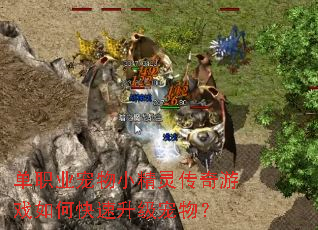 ��ְҵ����С���鴫����Ϸ��ο����������