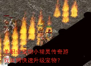 ��ְҵ����С���鴫����Ϸ��ο����������