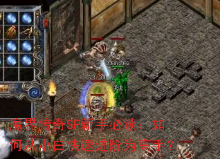 ħ�紫��SF���ֱض�����δ�С�׿��ٽ���Ϊ���֣�