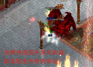 如何快速提升黑天病道龄单职业传奇的等级? 如何快速提升黑天病道龄单职业传奇的等级?