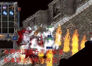 如何快速提升黑天病道龄单职业传奇的等级? 如何快速提升黑天病道龄单职业传奇的等级?