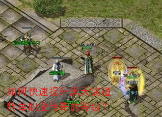 如何快速提升黑天病道龄单职业传奇的等级? 如何快速提升黑天病道龄单职业传奇的等级?