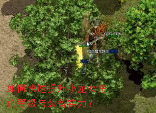 ��ο�������С��Ů��ɫ�ȼ���װ��ʵ����