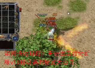 ��ο��������ذ����������·�v15�����������Ŵ󹫿�