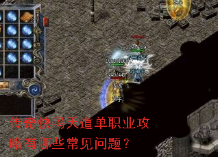 ������������ְҵ��������Щ�������⣿