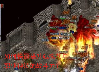 ��ο�������߱��ٵ�ְҵ������ս������