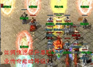 ��ο���������ְҵ�����۷�ȼ���