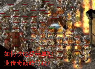 ��ο���������ְҵ�����۷�ȼ���