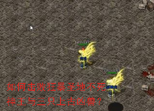 ��λ��ܿ�ʥ�ز�����������ֻ�Ϲ����ޣ�