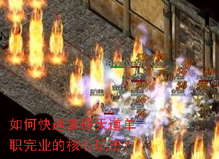 ��ο������������ְ��ҵ�ĺ����淨��