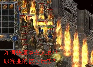 ��ο������������ְ��ҵ�ĺ����淨��