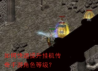 如何快速提升挂机传奇手游角色等级? 如何快速提升挂机传奇手游角色等级?