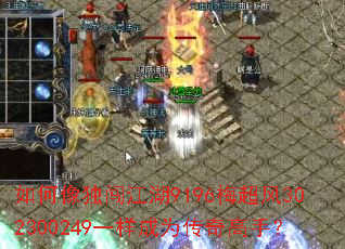 ������������9196÷����302300249һ����Ϊ������֣�