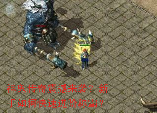 �����������Ϯ��������ο��ٽ��׳ưԣ�