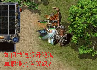 ��ο��������׺���ְҵ��ɫ�ȼ���