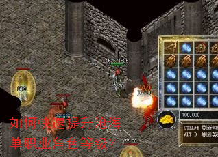 ��ο��������׺���ְҵ��ɫ�ȼ���