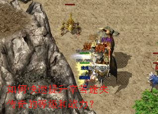 ��ο�������������ʧ����ĵȼ���ս����