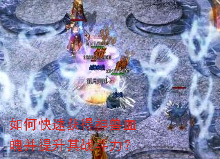 ��ο��ٻ������Ѫ�ǲ�������ս������