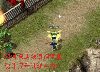 ��ο��ٻ������Ѫ�ǲ�������ս������