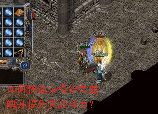 ��ο��ٻ������Ѫ�ǲ�������ս������