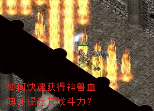 ��ο��ٻ������Ѫ�ǲ�������ս������