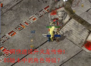 ��ο���������������1.85�汾�еĽ�ɫ�ȼ���