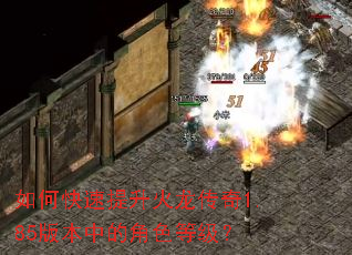 ��ο���������������1.85�汾�еĽ�ɫ�ȼ���