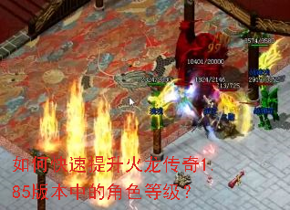 ��ο���������������1.85�汾�еĽ�ɫ�ȼ���