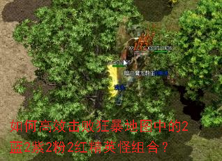 ��θ�Ч���ܿ񱩵�ͼ�е�2��2��2��2�쾫Ӣ����ϣ�