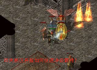 ��������������ο��ٳ弶�԰�