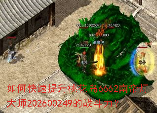 ��ο��������һ���6662�ϵ۵ƴ�ʦ202600249��ս������