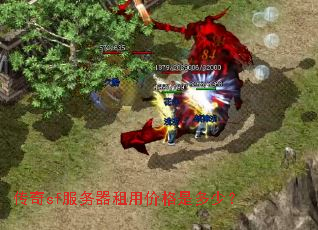 ����sf���������ü۸��Ƕ��٣�