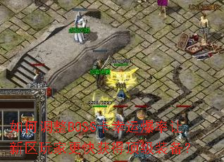 ��ε���BOSS�����˱�����������Ҹ����ö���װ����