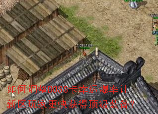 ��ε���BOSS�����˱�����������Ҹ����ö���װ����