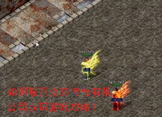 �����ϵ��̬�������޹�˾��ȡ��Ϸ���ԣ�