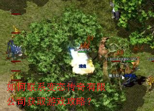 �����ϵ��̬�������޹�˾��ȡ��Ϸ���ԣ�