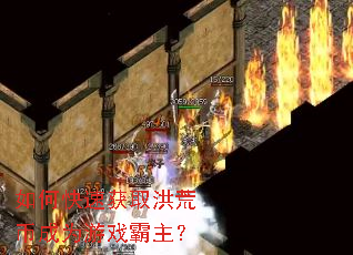 ��ο��ٻ�ȡ��ıҳ�Ϊ��Ϸ������