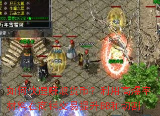 ��ο���׬ȡ���ң����ø߱��ʲ��������̽�������BB���и�