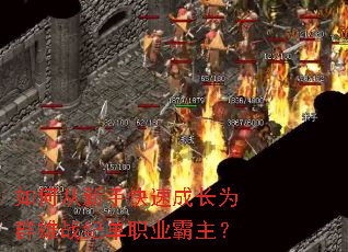 ��δ����ֿ��ٳɳ�ΪȺ��ս�͵�ְҵ������